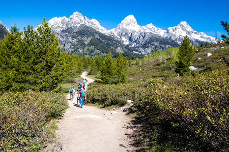 Grand Teton National Park, Jackson Hole, Wyoming, USA, May 31, 2021, Group of hikers on the trail from Taggart Lake, horizontalのeditorial素材