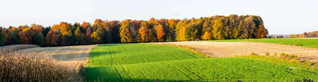 Wisconsin farmland wih corn and hay in late September, panoramaの写真素材