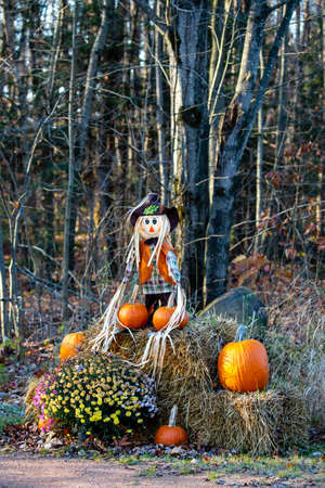 Halloween holiday display consisting of mums, pumpkins, hay bales and scare crows in Wisconsin, verticalの写真素材