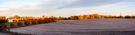 Road going through a Wisconsin countryside in October, panoramaの写真素材
