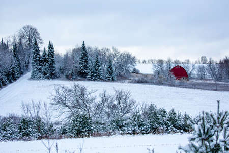 Old red barn in a  Wisconsin with a snow covered forest, horizontalの写真素材