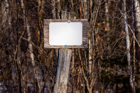 Close up of a white blank sign on a wood post next to a forest with copy space, horizontal