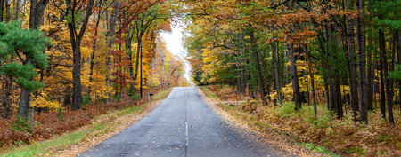 Wausau Ave in October with colorful autumn trees in Wausau, Wisconsin, panoramaの写真素材