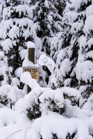 No hunting, no trespassing sign on a snowy tree in Wisconsin, verticalの写真素材