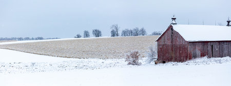 Red barn next to a cornfield after a Wisconsin snow storm in December, panoramaの写真素材