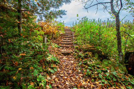 Old wooden steps on a foot path in Lake of the Falls County Park in Mercer, Wisconsin, horizontalの写真素材