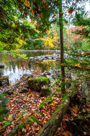 Lake of the Falls in Mercer, Wisconsin in September, verticalの写真素材