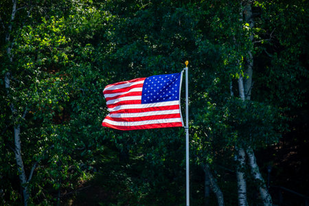 American flag on a pole in front of a forest, horizontal