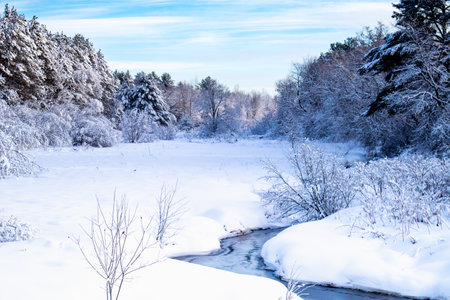 Frozen stream running through a Wisconsin forest, horizontal