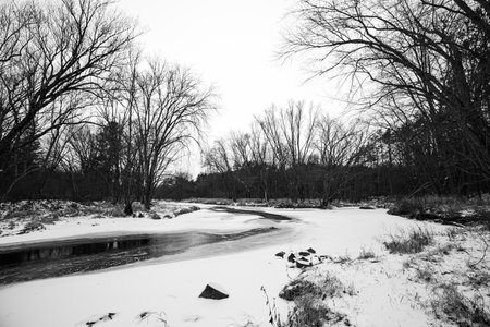 Big Rib River partially frozen in central Wisconsin in black and white, horizontalの写真素材