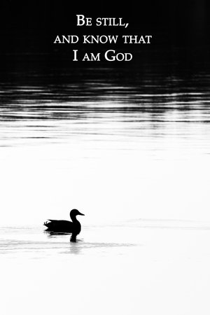 Bible verse psalm 46:10 with a silhouette of a mallard duck in black and white, verticalの写真素材