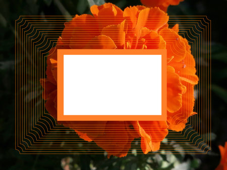 On a dark green background, a close-up of an orange flower, in the center a white frame with space for text, along the perimeter a multi-layered frame in the form of thin lines, a gradientの写真素材