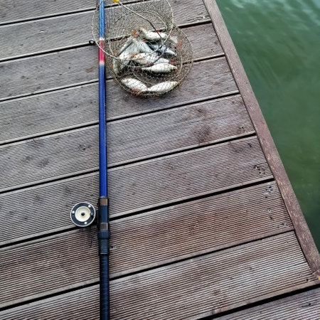 On a wooden bridge, a fishing rod and a metal net with a catch of fishの写真素材