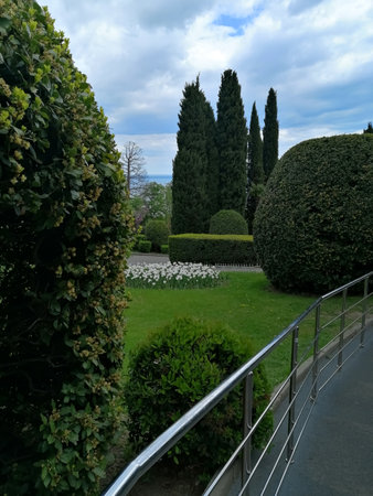 The background of a green park with decorative trees, shrubs and flowers, along the edge of the metal fence of the road, in the depths of the park you can see the sea.の写真素材