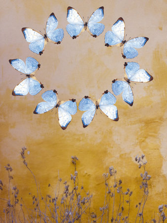 Butterflies made of glass on the wall of the house.の写真素材