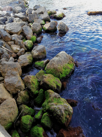 rocks in the sea with green moss, beautiful photo digital pictureの写真素材