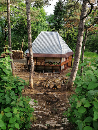 wooden house in the forest. wooden house in the forest.の写真素材