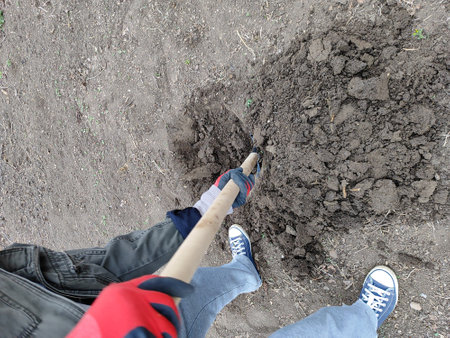 Man digging the soil with a shovel in the garden. Top view.の写真素材