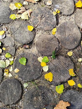Autumn leaves on the old pavement, closeup of photoの写真素材