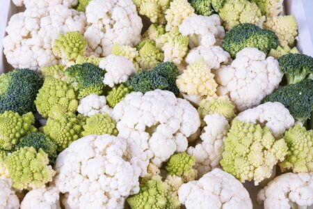a lot of broccoli and cauliflower on a table on a white backgroundの写真素材