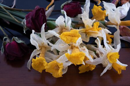 bouquet of dried roses and yellow daffodils on a table on a dark backgroundの写真素材