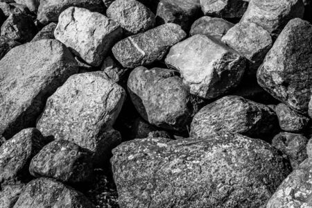 black stones on the seashore covered with algae and moss in springの写真素材