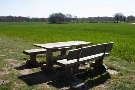 benches wooden table stand on nature for relaxation, in spring