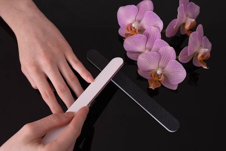 female hands look after nails, nail file, pink orchid on a black backgroundの写真素材