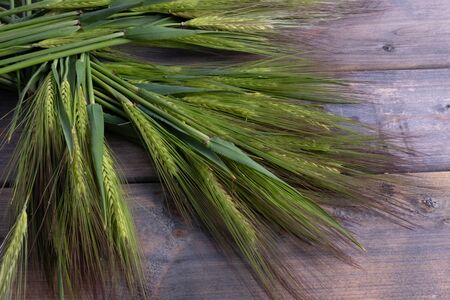 composition of green barley on a table on a wooden backgroundの写真素材