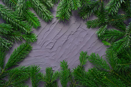 evergreen spruce branches lined with frame on blue textured background