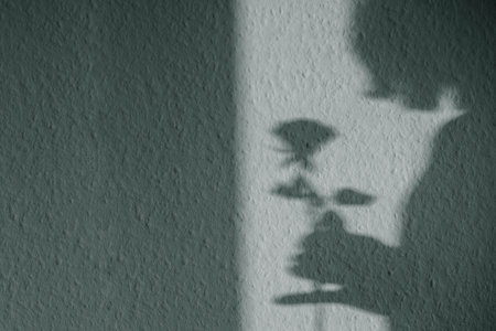 black and white shadow from rose flower and silhouette of a girl on the wall in the morningの写真素材