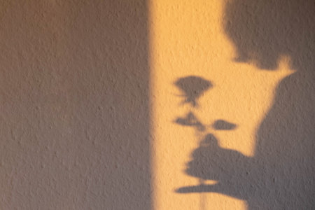 shadow from rose flower and silhouette of a girl on the wall in the morningの写真素材