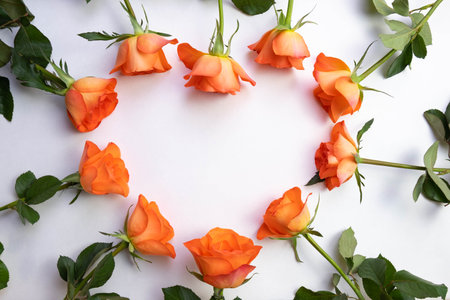 heart shape lined with roses on a white background, top viewの写真素材