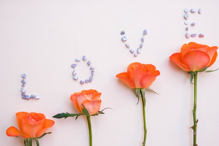 young roses and the word "Love" is written above them, on a white backgroundの写真素材