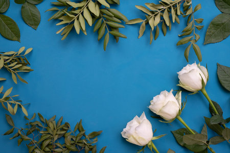 white roses and bush branches are laid out on a table on a blue backgroundの写真素材