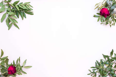 green branches of a bush and red roses lie on the background, on a white backgroundの写真素材