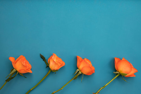 four orange roses lie on the table on a blue backgroundの写真素材