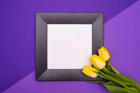 black frame and three yellow tulips on the bottom right side, on a lilac backgroundの写真素材