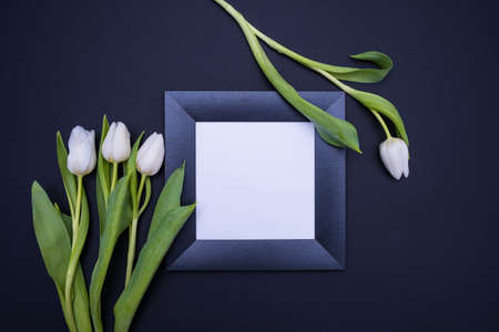 in the middle, on a black background, lies a black frame with a white background and white tulips on the sidesの写真素材