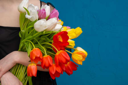 girl holding a large bouquet of multicolored tulips in her hands, texture background in the color of...