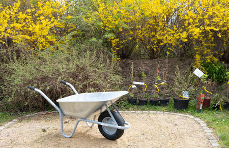 garden cart stands in the spring garden, time for planting seedlingsの写真素材