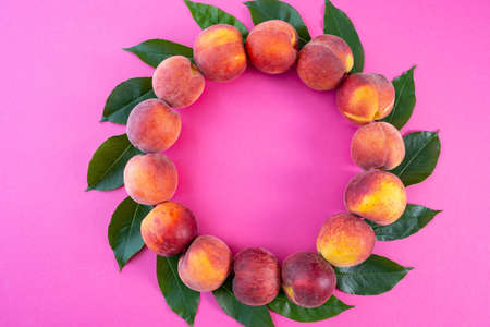 laid out in a circle ripe peaches and green foliage, on a pink background, a close-upの写真素材