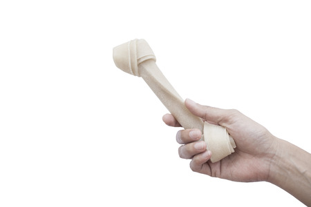 Hand holding a bone against white background の写真素材