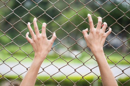 Hand holding on chain link fenceの写真素材