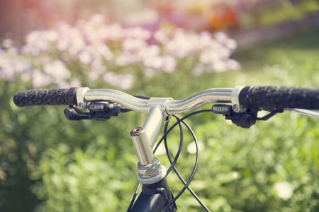Bicycle in flower garden backgroundの写真素材