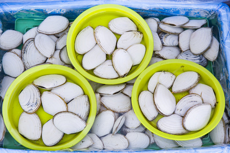 shellfish for sale at a fresh seafood marketの写真素材