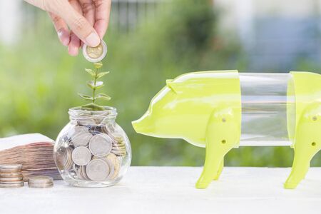 woman hand saving money in a piggy savingの写真素材