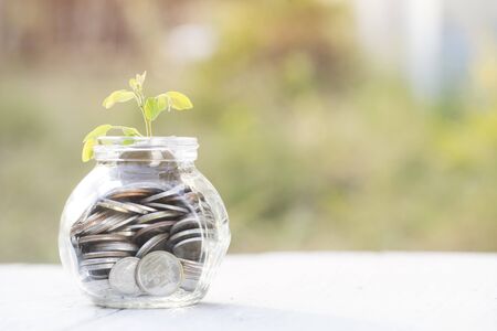 Sprout growing on glass bottle bank with sunset light in saving money concept