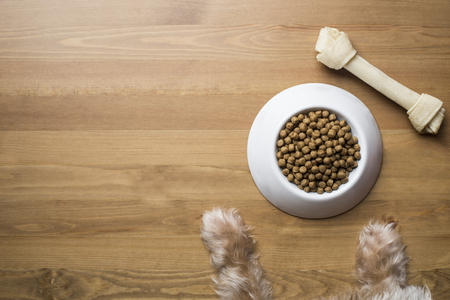 dog food and dog paw on wood tableの写真素材