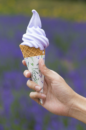 Hand holding ice cream with lavender filed backgroundの写真素材